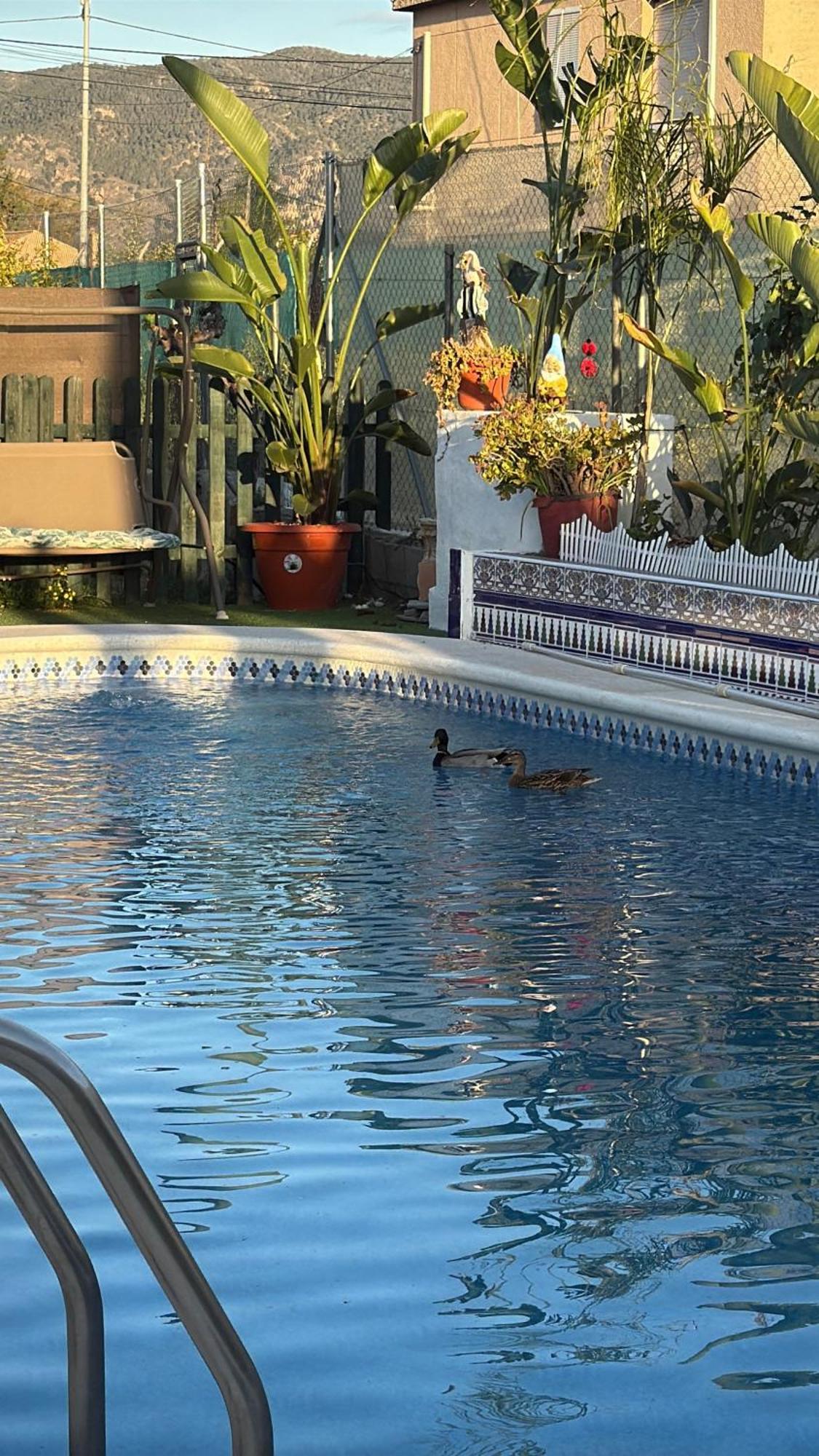 Casa Rural A 4Km De Murcia Con Piscina Y Spa Caliente Exteriör bild